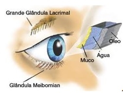 Representação do filme lacrimal